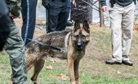 MEPD NHSP Foot Chase-7647