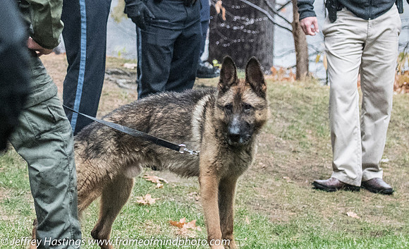 MEPD NHSP Foot Chase-7647