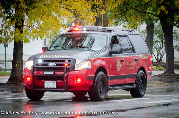 MFD Fire Parade 2016-7433