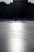 Boston Common-2829