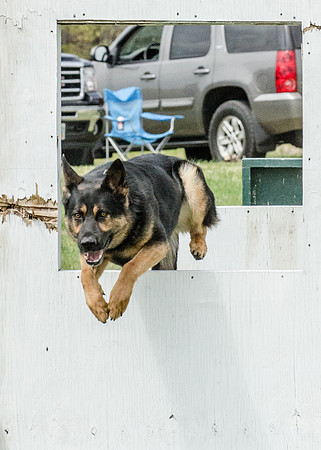 Full ResMPD K9-5580_