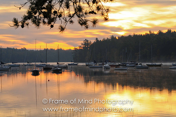 NH Images-1119