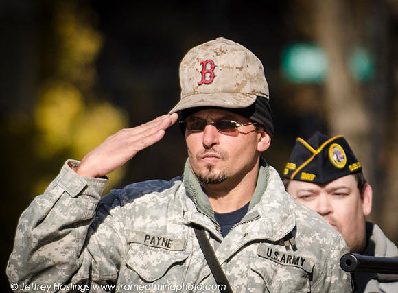 Veterans Day 2014-85512088